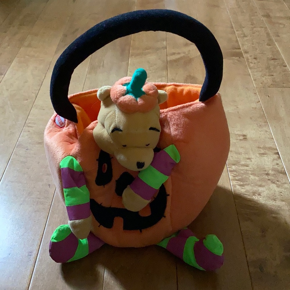 Winnie the Pooh Pumpkin Basket
